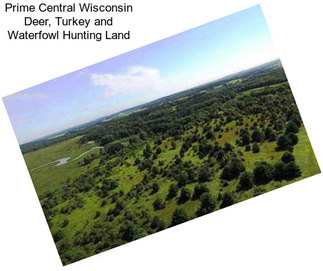 Prime Central Wisconsin Deer, Turkey and Waterfowl Hunting Land