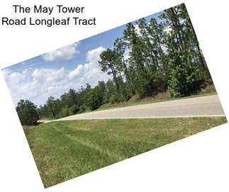 The May Tower Road Longleaf Tract