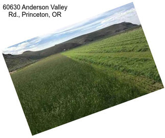 60630 Anderson Valley Rd., Princeton, OR