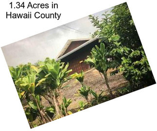 1.34 Acres in Hawaii County