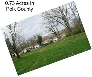 0.73 Acres in Polk County