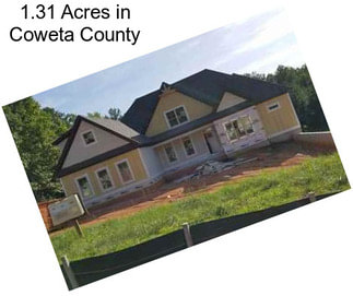 1.31 Acres in Coweta County