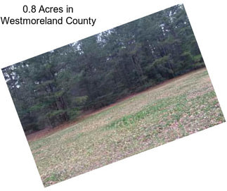0.8 Acres in Westmoreland County