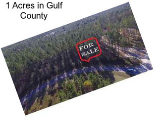 1 Acres in Gulf County