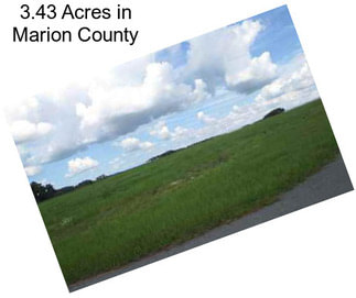 3.43 Acres in Marion County