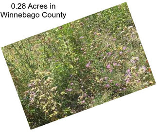 0.28 Acres in Winnebago County