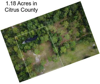 1.18 Acres in Citrus County