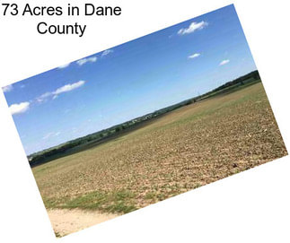 73 Acres in Dane County