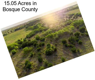 15.05 Acres in Bosque County