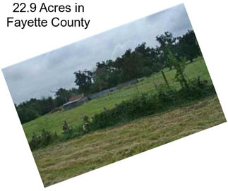 22.9 Acres in Fayette County