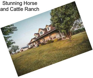 Stunning Horse and Cattle Ranch