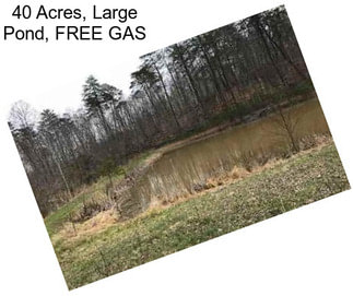 40 Acres, Large Pond, FREE GAS