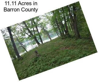 11.11 Acres in Barron County