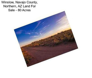 Winslow, Navajo County, Northern, AZ Land For Sale - 80 Acres