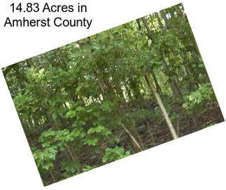 14.83 Acres in Amherst County