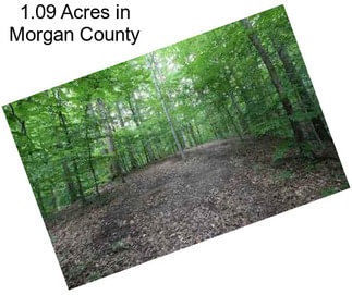 1.09 Acres in Morgan County