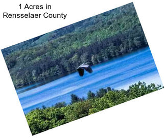 1 Acres in Rensselaer County