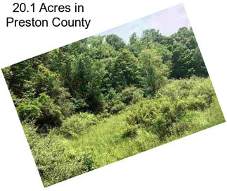 20.1 Acres in Preston County