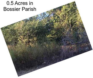 0.5 Acres in Bossier Parish