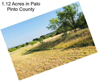 1.12 Acres in Palo Pinto County