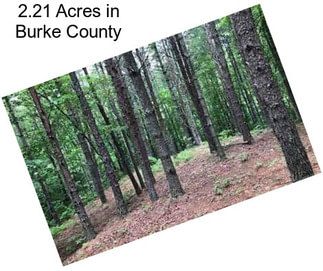 2.21 Acres in Burke County