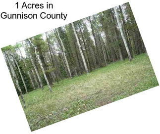 1 Acres in Gunnison County