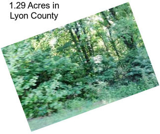 1.29 Acres in Lyon County