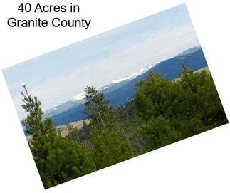 40 Acres in Granite County