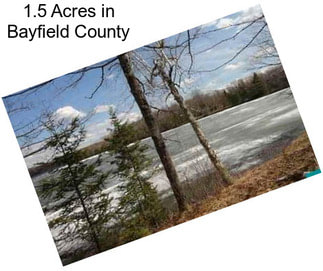 1.5 Acres in Bayfield County