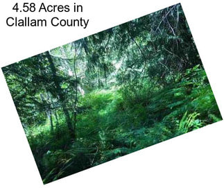 4.58 Acres in Clallam County