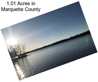 1.01 Acres in Marquette County