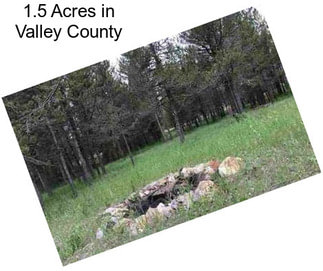1.5 Acres in Valley County