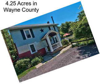 4.25 Acres in Wayne County