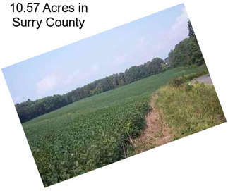 10.57 Acres in Surry County