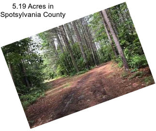 5.19 Acres in Spotsylvania County