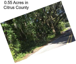 0.55 Acres in Citrus County