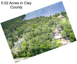 5.02 Acres in Clay County