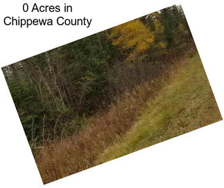 0 Acres in Chippewa County