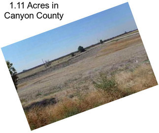 1.11 Acres in Canyon County