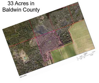 33 Acres in Baldwin County