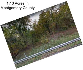 1.13 Acres in Montgomery County