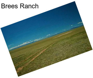 Brees Ranch