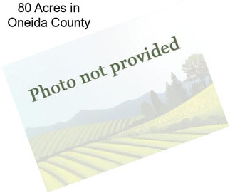 80 Acres in Oneida County