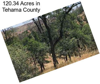 120.34 Acres in Tehama County