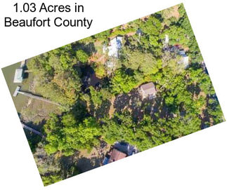 1.03 Acres in Beaufort County