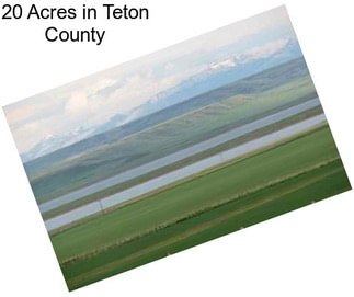 20 Acres in Teton County