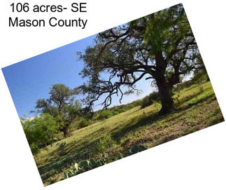 106 acres- SE Mason County