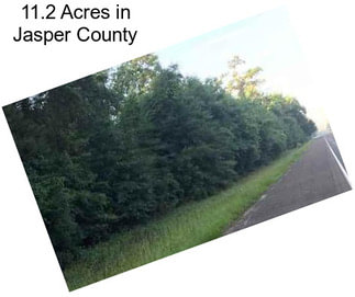 11.2 Acres in Jasper County