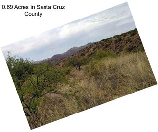 0.69 Acres in Santa Cruz County