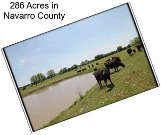 286 Acres in Navarro County